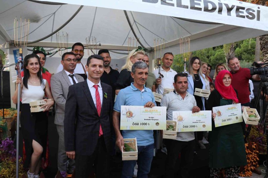 Alanya’nın En Ağır Avokadosu 610 Gramla Ödülü Aldı