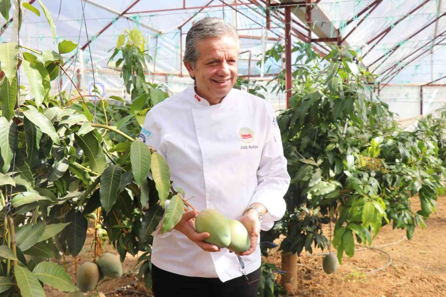 Alanya’da Tropikal Hasat Şöleni