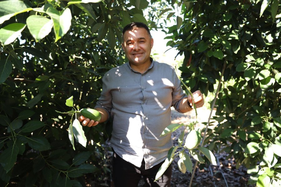 Alanya’da Tropikal Hasat Şöleni