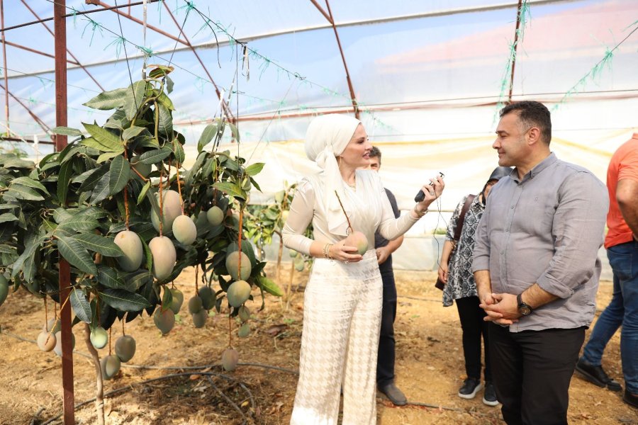Alanya’da Tropikal Hasat Şöleni