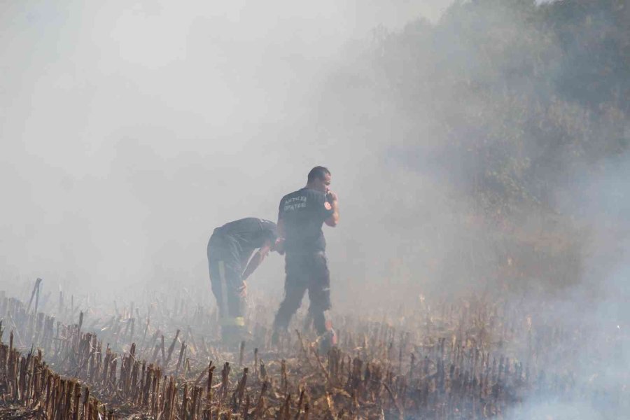 Antalya’da Anız Yangını İtfaiye Ekiplerine Zor Anlar Yaşattı