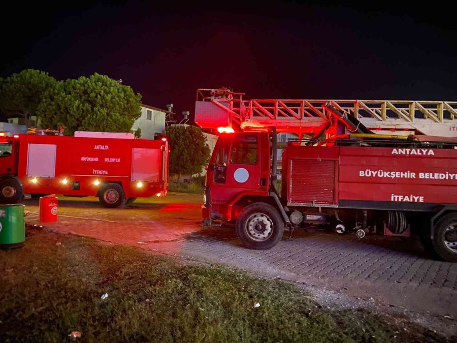 Sahibiyle Gezintiye Çıkan Köpeğin Dikkati Koyunu Ölümden Kurtardı