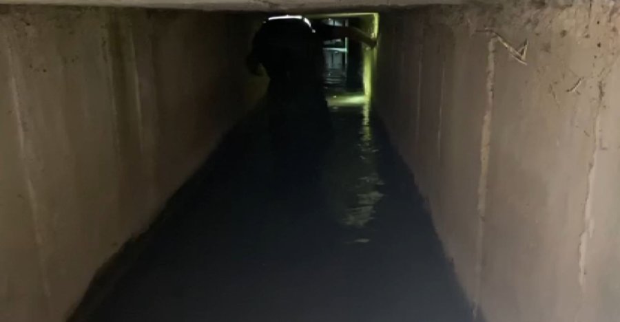 Sahibiyle Gezintiye Çıkan Köpeğin Dikkati Koyunu Ölümden Kurtardı