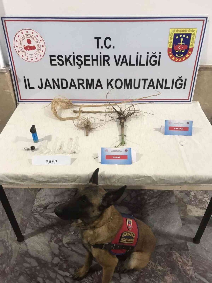 Jandarmadan Uyuşturucu Operasyonu: 1 Gözaltı