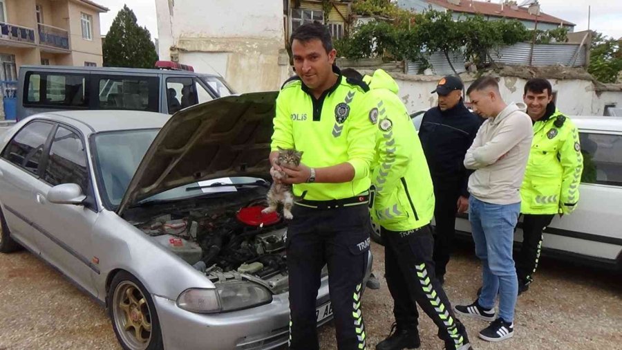 Otomobile Ve Polis Aracının Motoruna Giren Kediyi Çıkartmak İçin Seferber Oldular