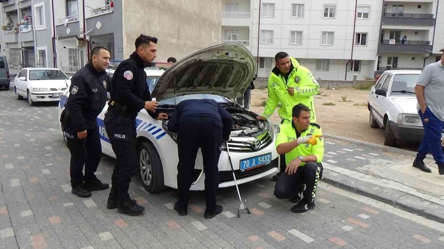 Otomobile Ve Polis Aracının Motoruna Giren Kediyi Çıkartmak İçin Seferber Oldular