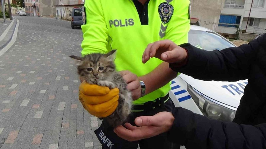 Otomobile Ve Polis Aracının Motoruna Giren Kediyi Çıkartmak İçin Seferber Oldular