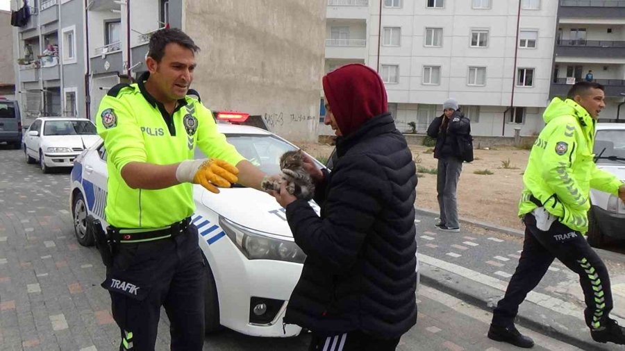 Otomobile Ve Polis Aracının Motoruna Giren Kediyi Çıkartmak İçin Seferber Oldular