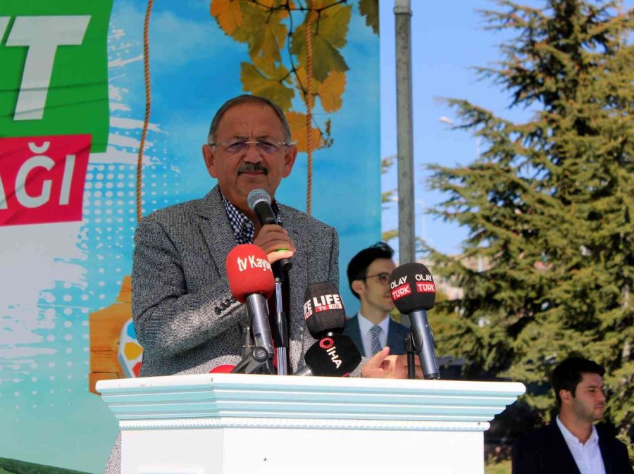 Yöresel Ürün ’kedi Bacağı’ Kocasinan’da Tanıtıldı