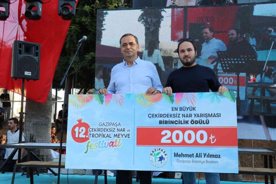 Gazipaşa’nın En Ağır Çekirdeksiz Narı Belli Oldu