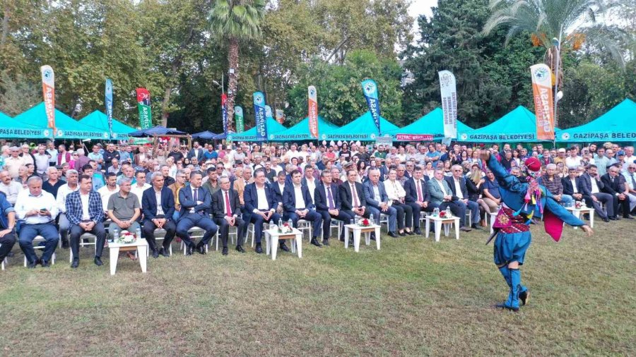 Gazipaşa’nın En Ağır Çekirdeksiz Narı Belli Oldu