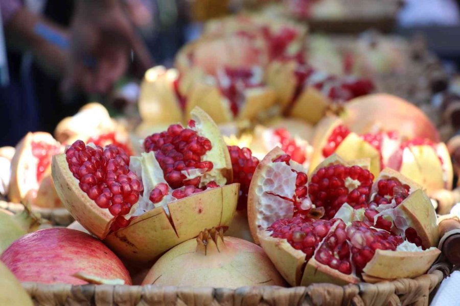 Gazipaşa’nın En Ağır Çekirdeksiz Narı Belli Oldu