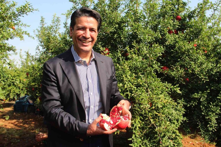 Fiyatı Yüzde Yüz Artan Nar Yüz Güldürüyor