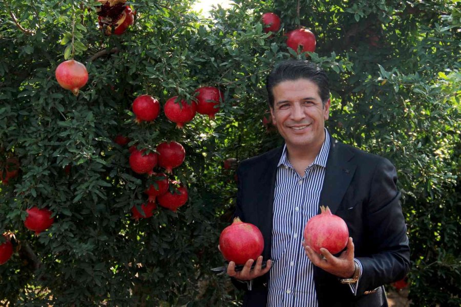 Fiyatı Yüzde Yüz Artan Nar Yüz Güldürüyor