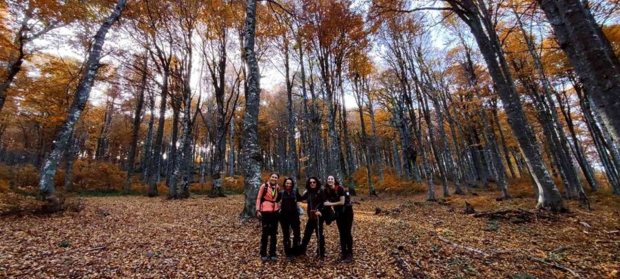 Doğa Tutkunları Domaniç’in Eşsiz Sonbahar Manzarasında Yürüdü