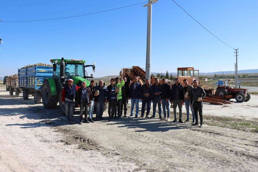 Günyüzü’nde Şeker Pancarı Alımına Başlandı