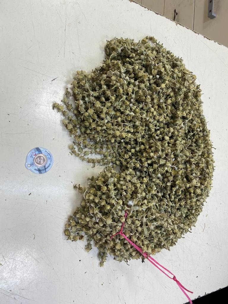 Bamya Gram Altın İle Yarışıyor