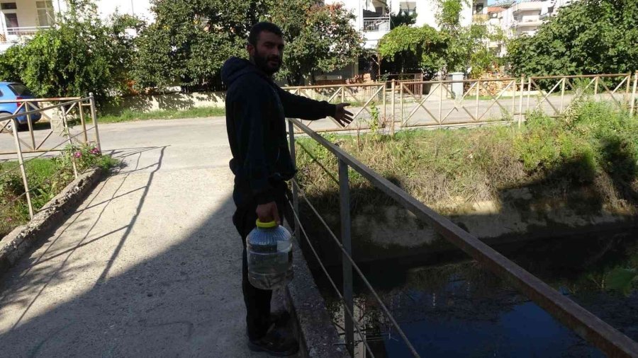 Manavgat’ta Sulama Kanalında Balık Ölümleri