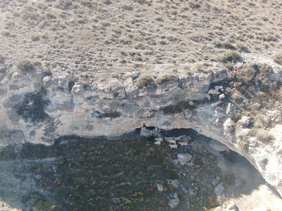Kaybolan 45 Adet Küçükbaş Hayvan Jandarma Ekiplerince Bulundu