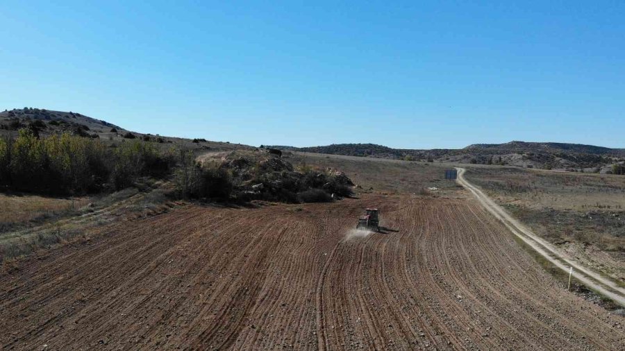Buğday Tohumlarının 8 Aylık Serüveni Başladı