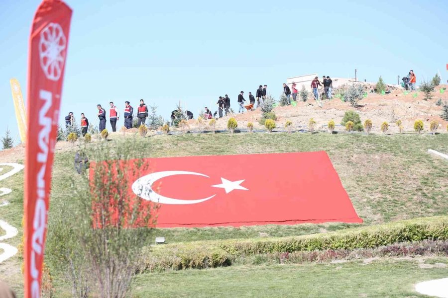 Kayseri’nin Denizi Ağaçlandırılıyor