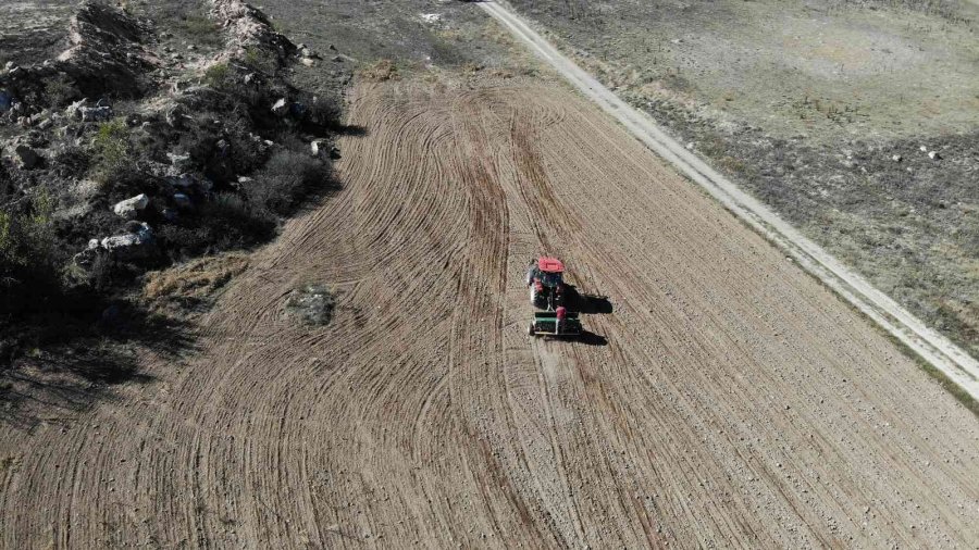 Buğday Tohumlarının 8 Aylık Serüveni Başladı