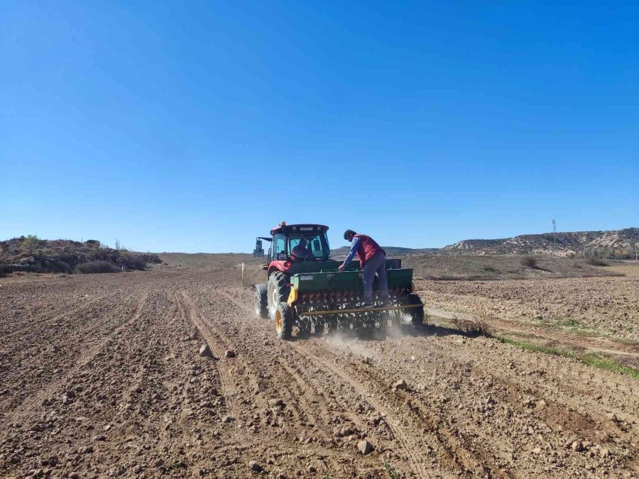 Buğday Tohumlarının 8 Aylık Serüveni Başladı