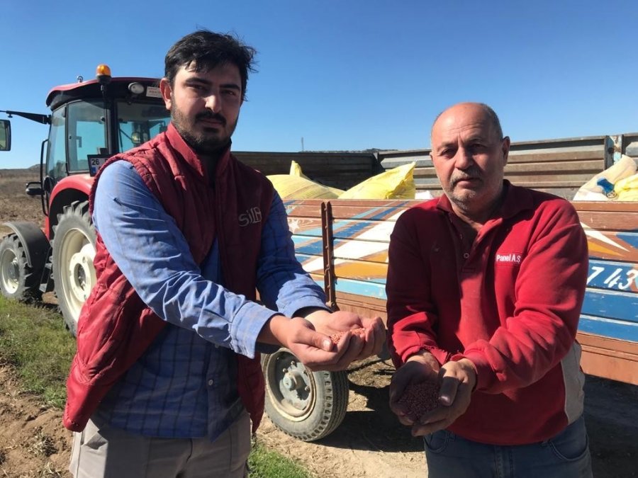 Buğday Tohumlarının 8 Aylık Serüveni Başladı