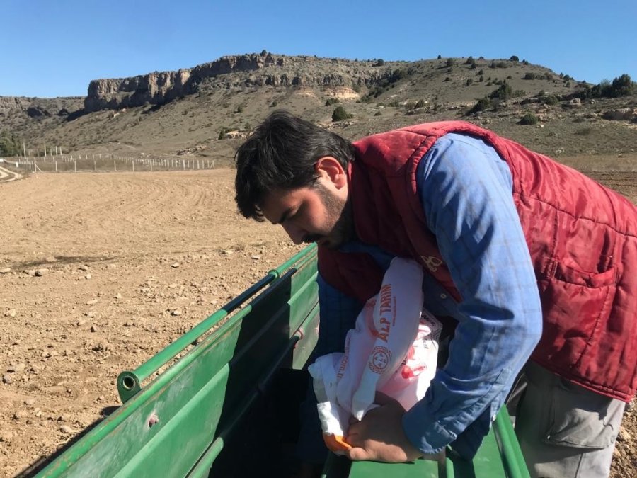 Buğday Tohumlarının 8 Aylık Serüveni Başladı