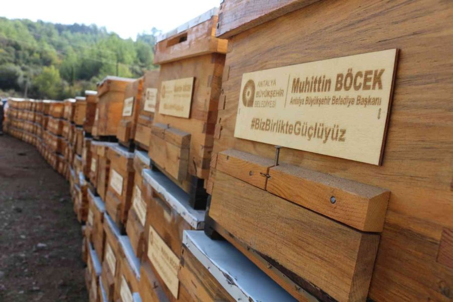 Büyükşehirden Serikli Arıcılara Kovan Desteği