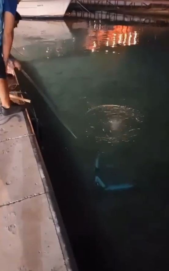 Scooterda Biri Çocuk 4 Kişiyle Ölüme Meydan Okuyan Yolculuk