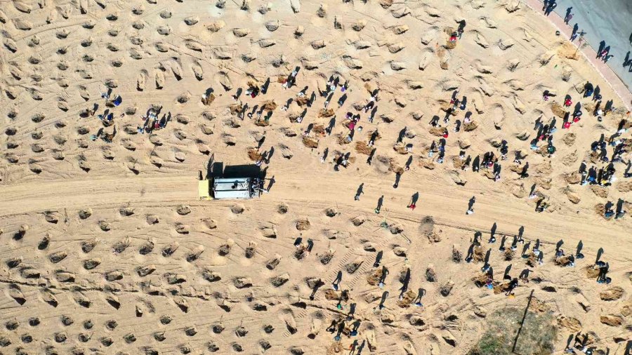 Büyükşehir’den Şehitler Anısına 251 Fidan