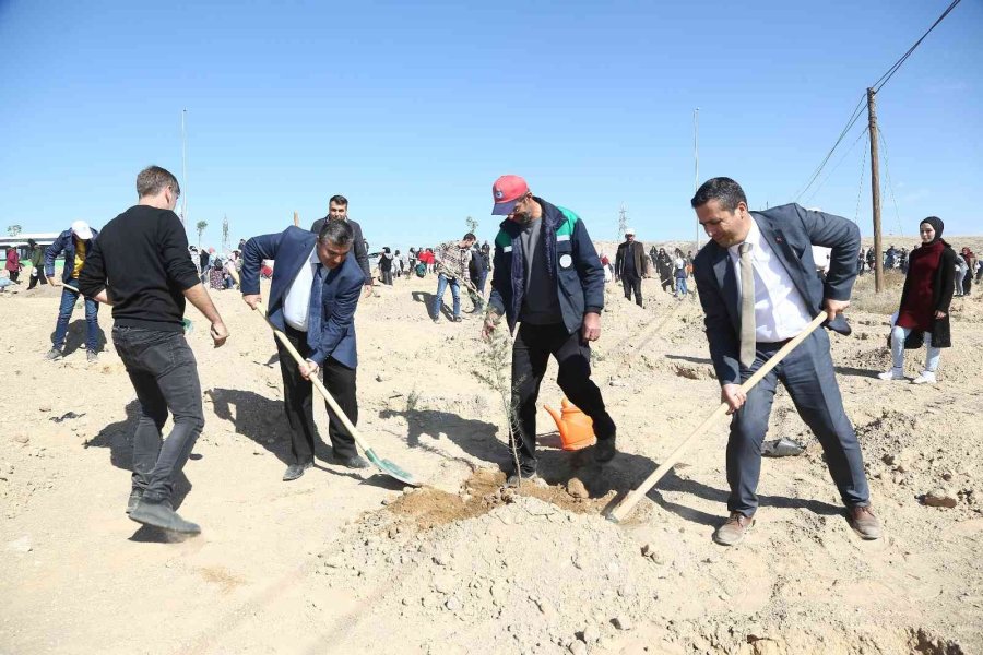 Büyükşehir’den Şehitler Anısına 251 Fidan