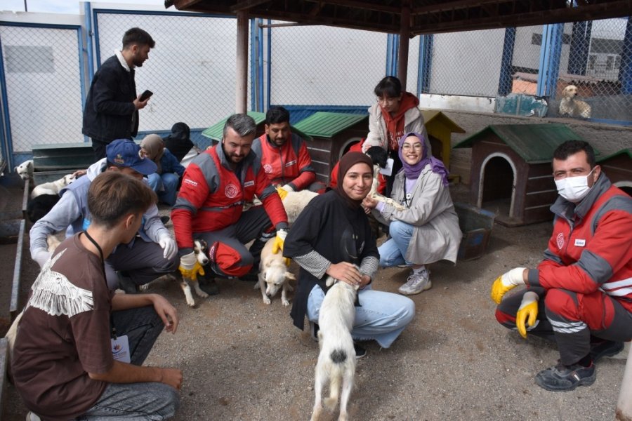 Kocasinan Gençlere Hayvan Sevgisi Aşılıyor