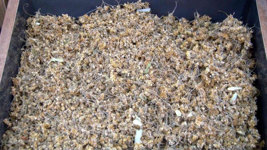 Derde Deva Ihlamur 400 Tl’ye Satılıyor