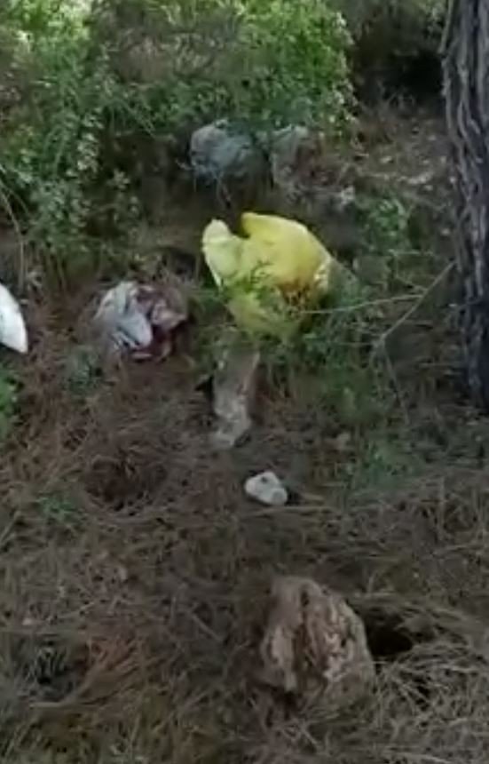 Antalya’da Uyuşturucu Tacirlerinin Ormanlık Alan Planını Polis Bozdu