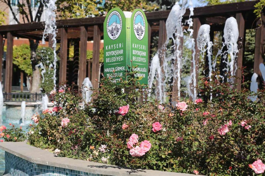 Büyükşehir, Sonbaharda 1 Milyon Çiçek Dikti