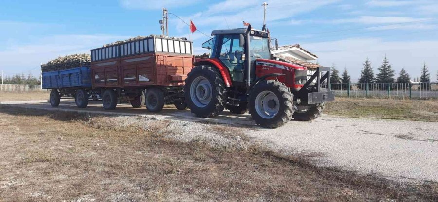 Seyitgazi Pancar Kantarı Alımlara Başladı