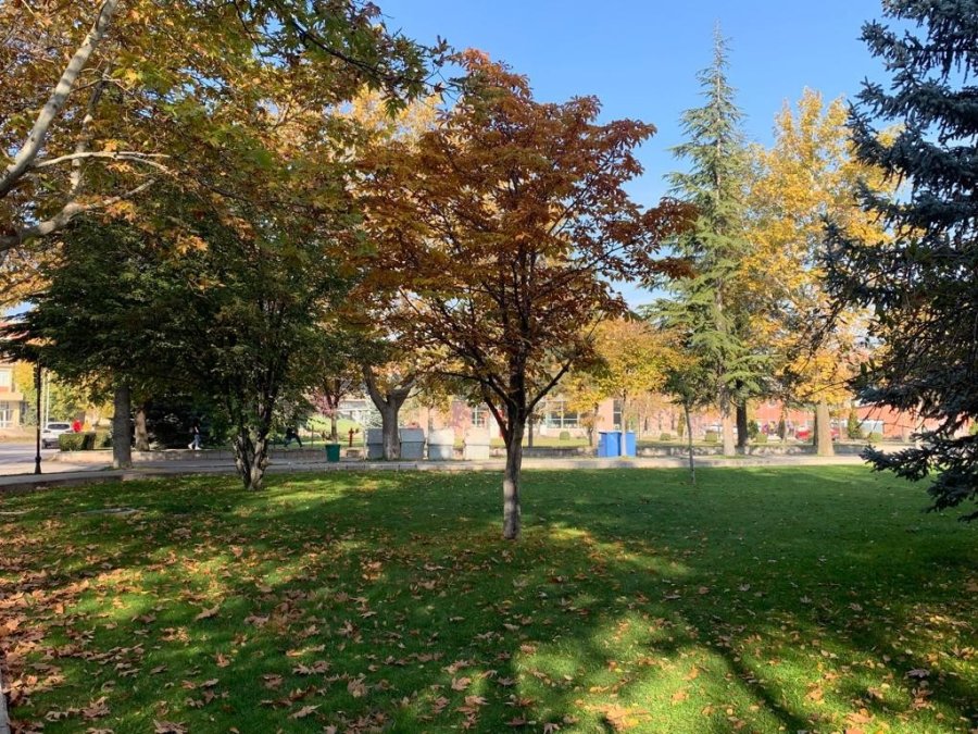 Anadolu Üniversitesi’nde Eşsiz Sonbahar Manzaraları