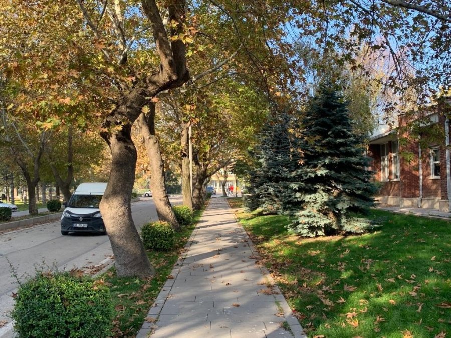 Anadolu Üniversitesi’nde Eşsiz Sonbahar Manzaraları