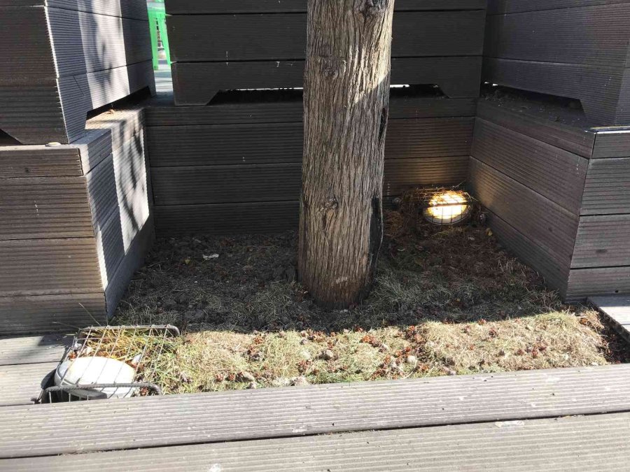 Hamamyolu’nda Bulunan Sokak Lambaları Gündüz De Yanıyor