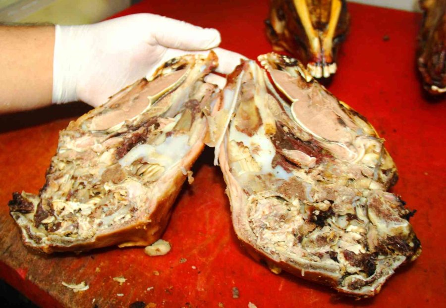 Osmanlı Mutfağından Günümüze Uzanan Şifa Deposu “kuzu Kelle”