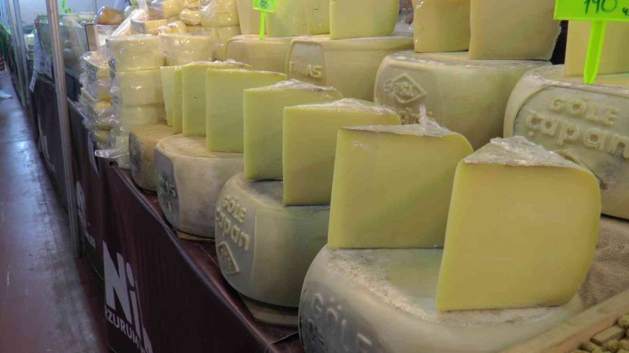 Eski Kaşar Adeta Doğal Antibiyotik Gibi