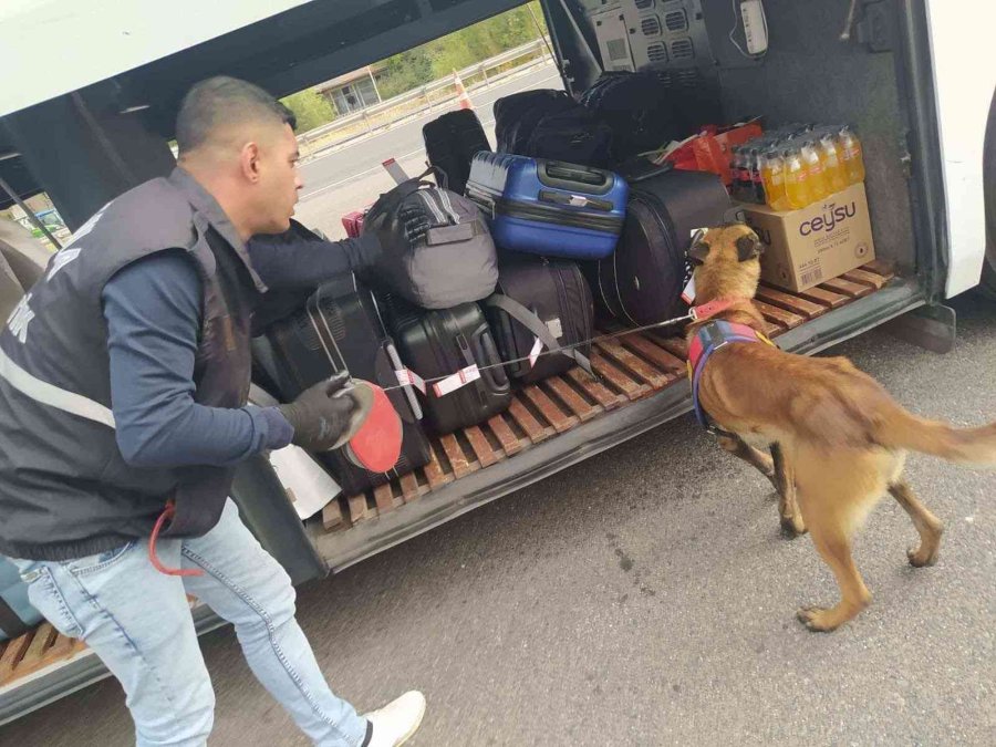 Eskişehir’de Jandarmanın Huzur Uygulamasında 2 Bin 64 Şahıs Sorgulandı