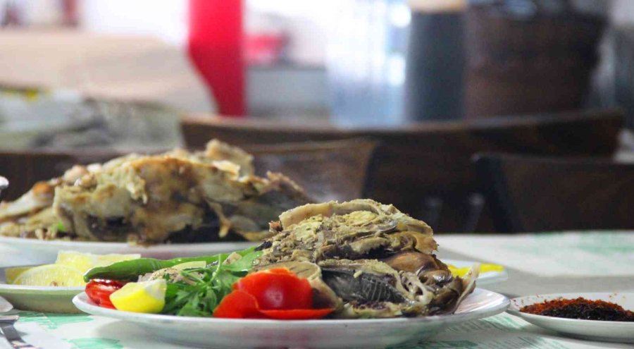 Osmanlı Mutfağından Günümüze Uzanan Şifa Deposu “kuzu Kelle”