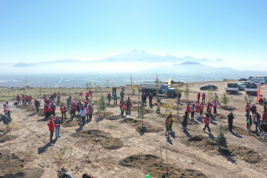 Kocasinan Belediyesi, Kızılay Haftası’nı Ağaçlarla Taçlandırdı