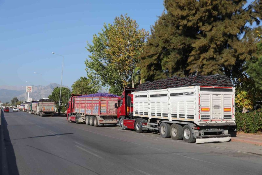 Büyükşehir, Kalitesiz Kömüre Geçit Vermiyor