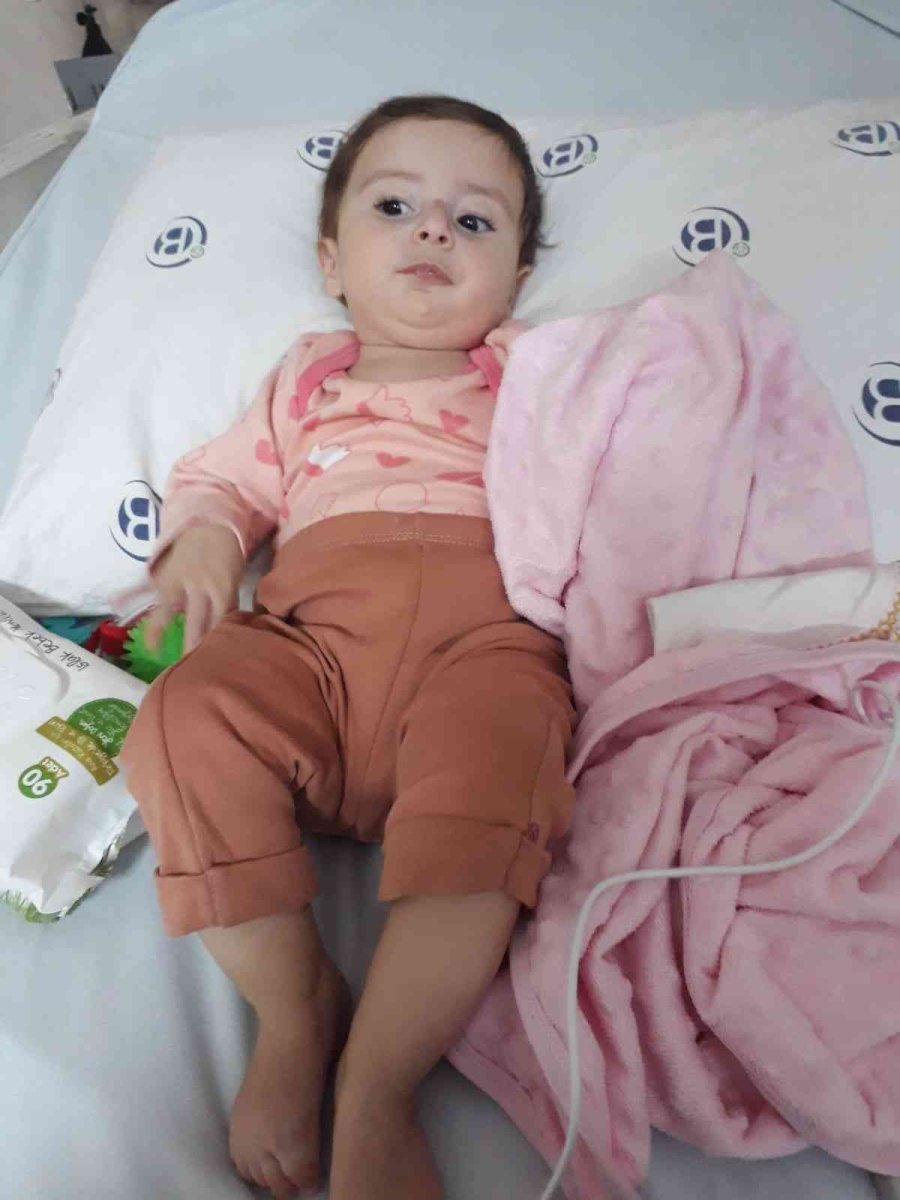 Sma Hastası Arya Bebeğin Yardım Kumbarasını Çaldılar