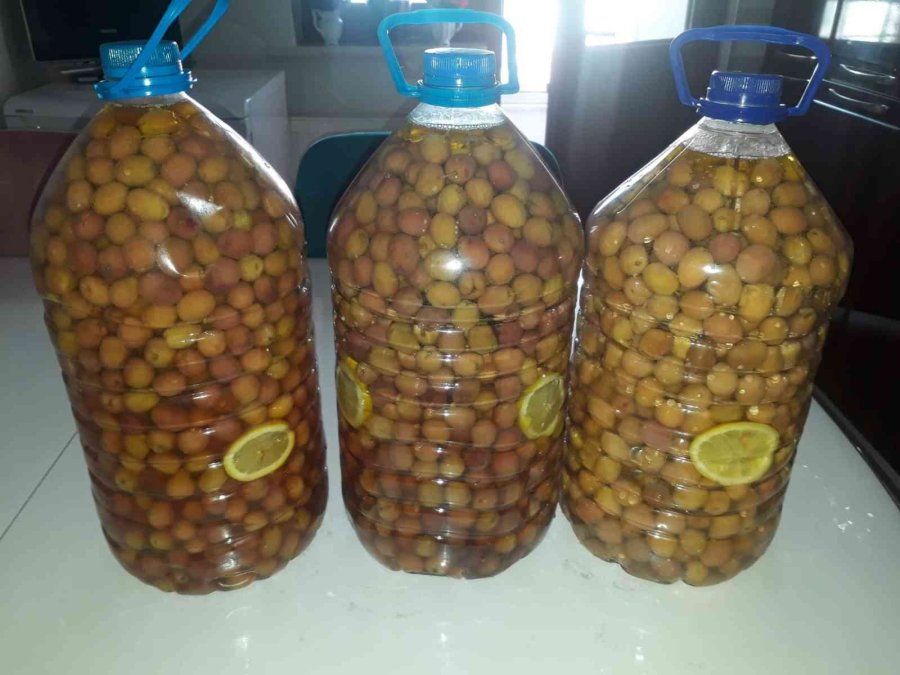 Laçin’de Salamura İşlemi Başladı