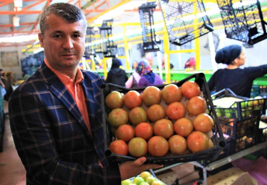 Avrupa’dan Talep Üstüne Talep Geliyor, Domates Üreticisinin Yüzü Gülüyor